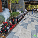 Vintage small train