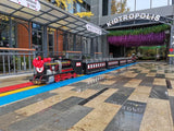 Scenic Sightseeing Mini Train / Track Ride Train - srygplayground.com