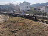 Scenic Sightseeing Mini Train / Track Ride Train - srygplayground.com